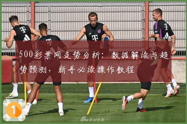 500彩票网走势分析：数据解读与趋势预测，新手必读操作教程