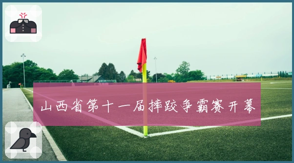 山西省第十一届摔跤争霸赛开幕