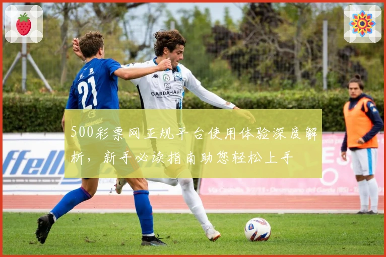 500彩票网正规平台使用体验深度解析，新手必读指南助您轻松上手
